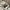 Natego jacket windbreakers gorpcore casual photo 4