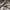 Natego jacket windbreakers gorpcore casual photo 7