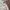 Natego jacket windbreakers gorpcore casual photo 3
