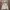 Natego jacket windbreakers gorpcore casual photo 1