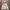 Natego Jacket Windbreakers Gorpcore Casual
