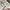 Natego jacket windbreakers gorpcore casual photo 6