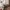 Natego jacket windbreakers gorpcore casual photo 5
