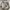 DJI OM 5 Warna White Sunset photo 3