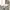 DJI OM 5 Warna White Sunset photo 5