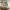 DJI OM 5 Warna White Sunset photo 1