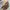 Dr. Martens Casual Boots Pria brown photo 8