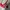 Bra Satin NEW ON TAG LABEL