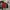 Nautica Vintage Hidden Hooded Jacket photo 1