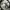 The North Face Streetwear Sportswear Bag Pria black photo 4