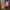 PLATFORM GAME ONLINE photo 1