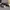 Nike Airmax Command  photo 1