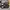 Nike M2K Tekno  photo 5