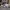 Nike M2K Tekno  photo 1