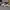 Nike M2K Tekno  photo 3