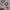 KAOS BANDAI ANIME KIRBY ORIGINAL 100% photo 4