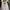Gaun dress prom/pesta/wedding broken white photo 4