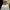 Gaun dress prom/pesta/wedding broken white photo 2