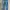 Vintage True Blue Straight Leg Blue Wash Jeans  photo 1