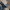 Jeans Andersson Bell Scandinavia
 photo 1