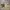 outer bordir premium photo 1
