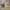 Outer Bordir Premium