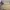 outer bordir premium photo 2