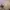 outer bordir premium photo 3