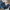 Cargo Pants Timberland