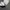 Kaos Nike Authorized photo 5