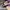 AIR JORDAN 1 RETRO HIGH SB DEFIANT LAKERS TO CHICAGO photo 6