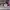 AIR JORDAN 1 RETRO HIGH SB DEFIANT LAKERS TO CHICAGO photo 1
