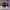 AIR JORDAN 1 RETRO HIGH SB DEFIANT LAKERS TO CHICAGO photo 4