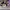 AIR JORDAN 1 RETRO HIGH SB DEFIANT LAKERS TO CHICAGO photo 3