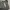 Minimalist Bag Pria gray photo 3