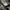 Minimalist Bag Pria gray photo 7
