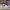 AIR JORDAN 1 RETRO LOW WHITE BLACK photo 2