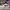 AIR JORDAN 1 RETRO LOW WHITE BLACK photo 1