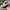 AIR JORDAN 1 RETRO LOW WHITE BLACK photo 5