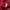 Beams T Maroon Hoodie Jacket photo 7