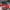 Nike airmax DN  photo 1
