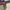 Longchamp MLH ( medum long handle ) in papper pappier photo 6
