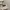 Longchamp MLH ( medum long handle ) in papper pappier photo 1