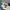 Longchamp MLH ( medum long handle ) in papper pappier photo 7