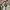 Longchamp MLH ( medum long handle ) in papper pappier photo 4