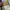 Longchamp MLH ( medum long handle ) in papper pappier photo 8