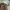 Longchamp MLH ( medum long handle ) in papper pappier photo 2