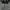dust denim jeans low waist for women vintage y2k style  photo 3
