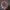 TED COMPANY VINTAGE MILITARY T-SHIRT  photo 3