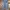 Cargo corduroy short jeans by American Jeans photo 2